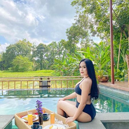 Nirankara Ubud Villa المظهر الخارجي الصورة