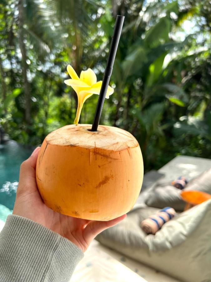 Nirankara Ubud Villa المظهر الخارجي الصورة